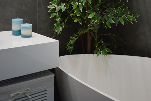 Une salle de bains moderne avec une plante à Longueuil - TBL Construction